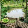 Đời là phù du
